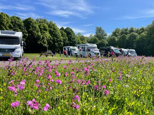 Camperplaats Loosterstee