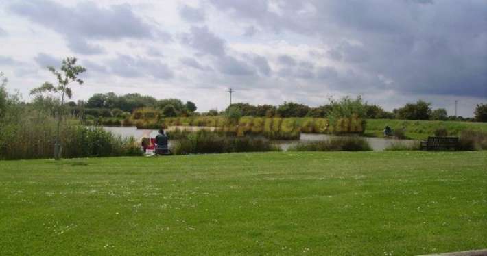 The Paddock - Willow Tree Farm