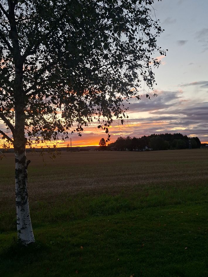Olberg Camping