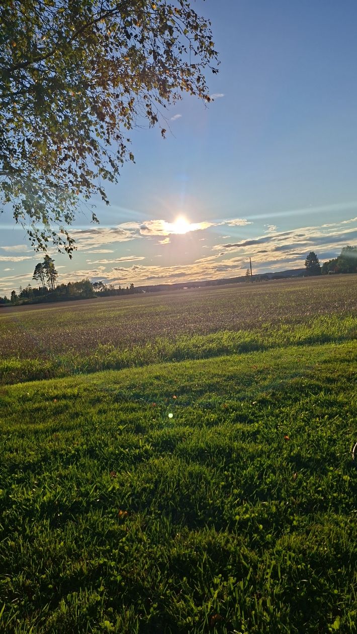 Olberg Camping