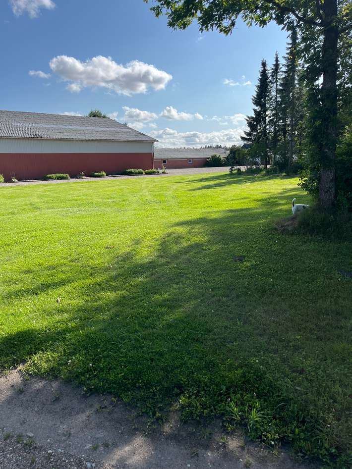 Virkelyst farm