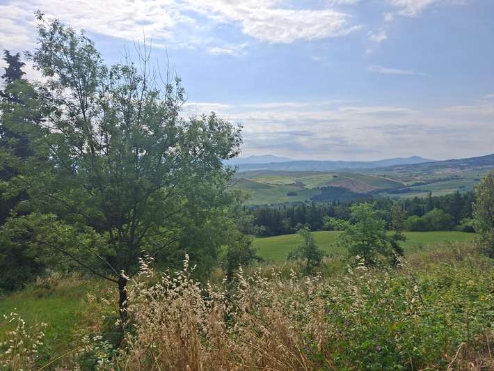 Area Comunale