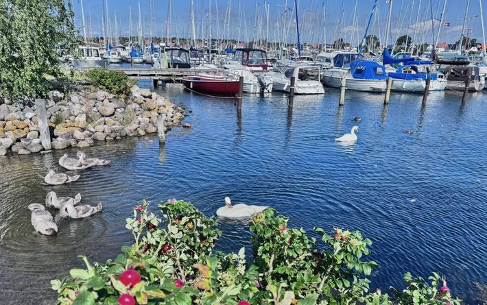 Lystbådehavn