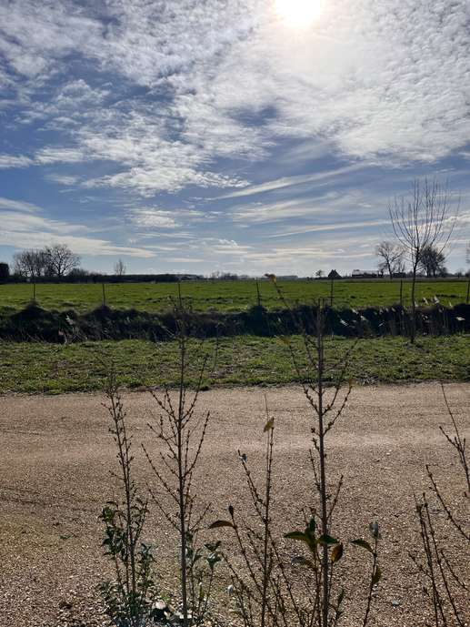 Een foto toegevoegd aan een locatie