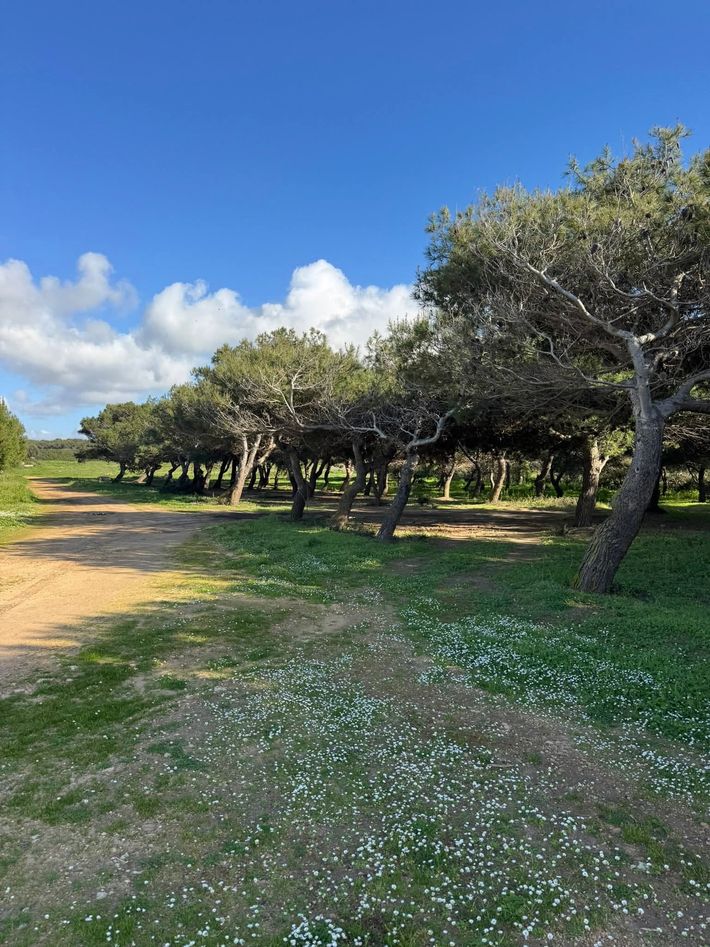 Agricamping Monte Muras di Serrano 