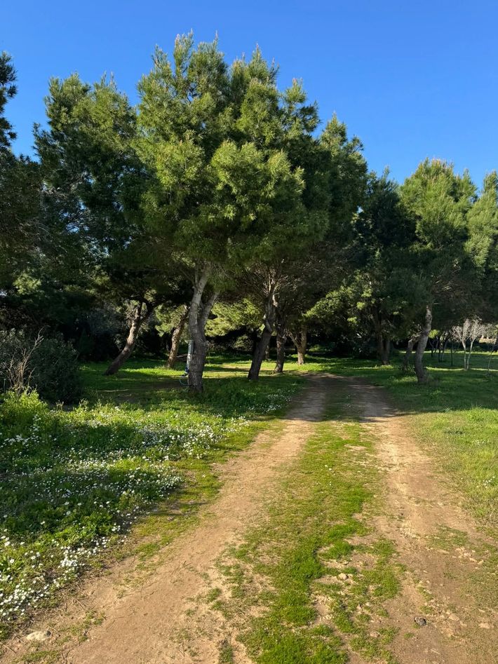Agricamping Monte Muras di Serrano