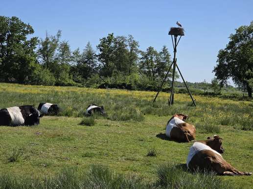 Added a photo to a location