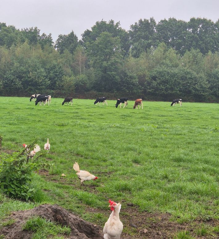 Boerderij Groot Westerveld