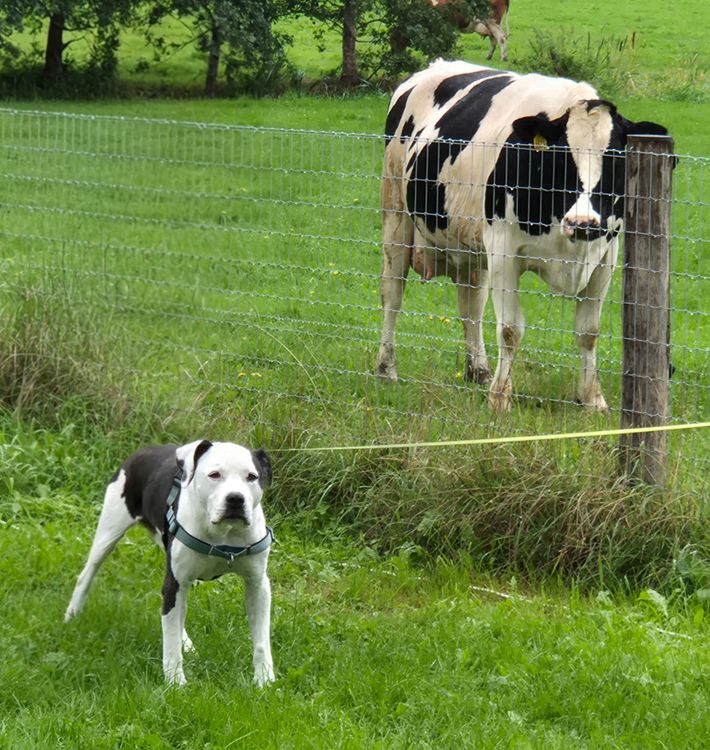 Boerderij Groot Westerveld