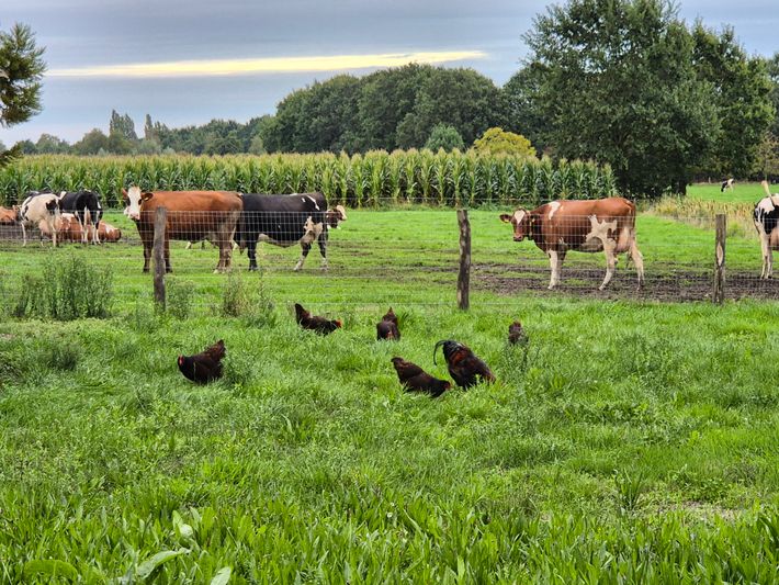 Boerderij Groot Westerveld