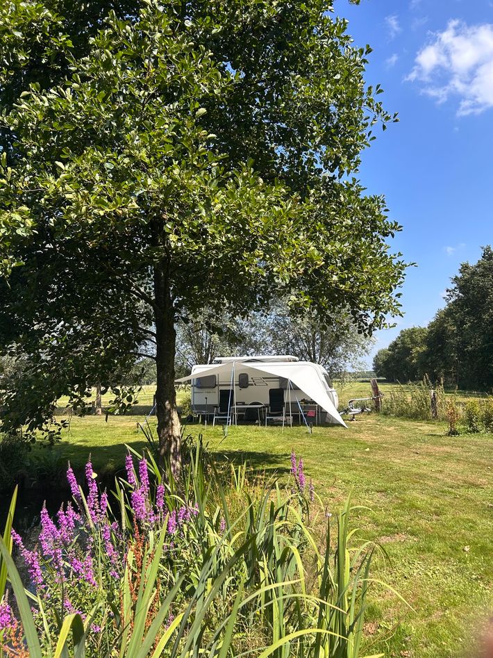 Mini-camping Het Zuiderscheveld