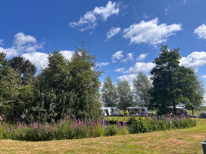 Mini-camping Het Zuiderscheveld