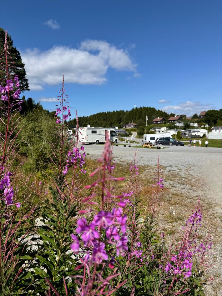 Fusa Camping
