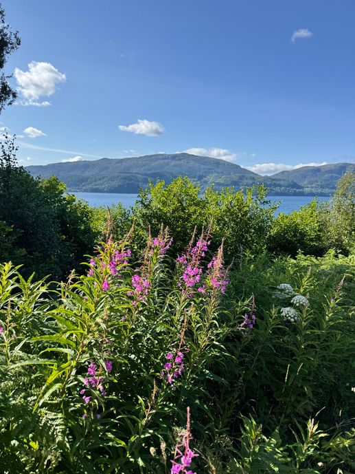 Added a photo to a location