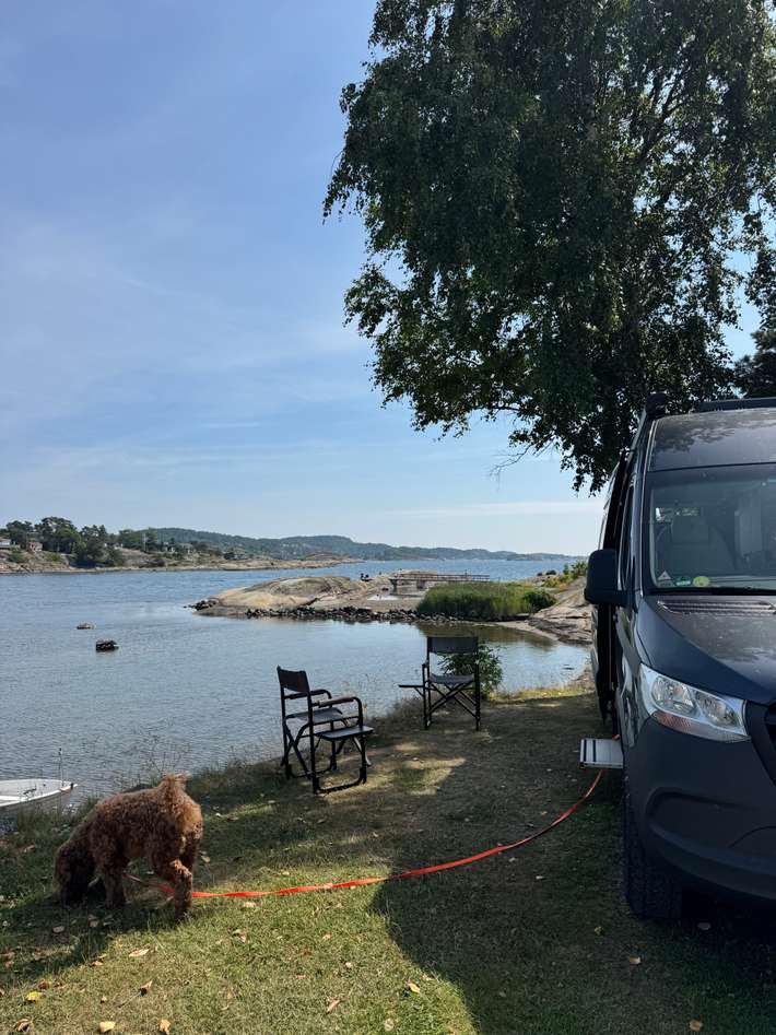 Asnes Camping