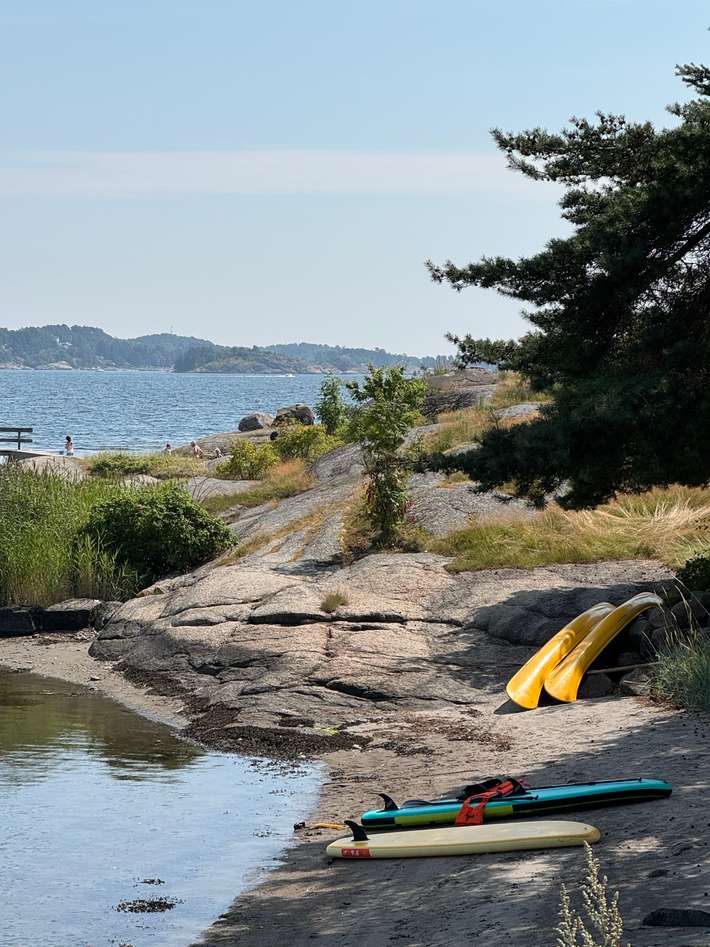 Asnes Camping
