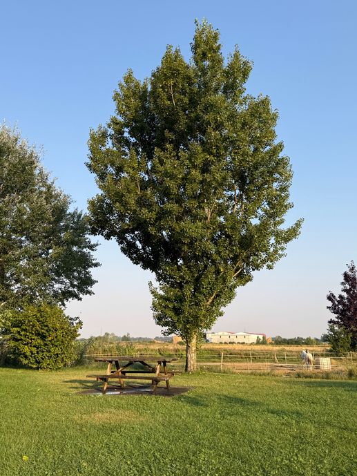 Aggiunta una foto a una posizione