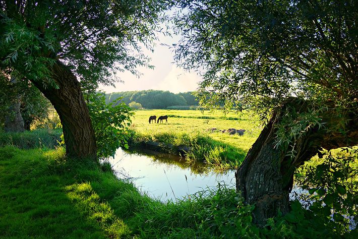 Camping De Hondsrug