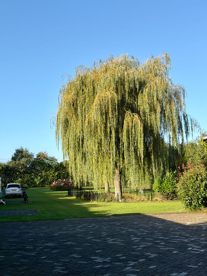 Mini Camping Ons Stekske