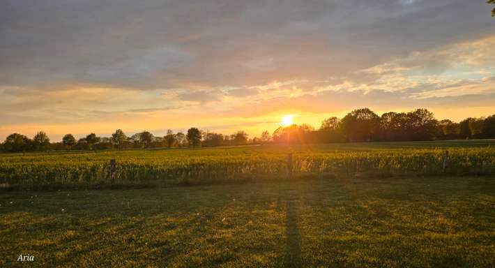 Camperplaats het Veld