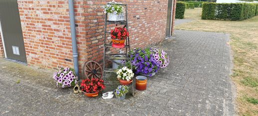 Einem Ort wurde ein Foto hinzugefügt