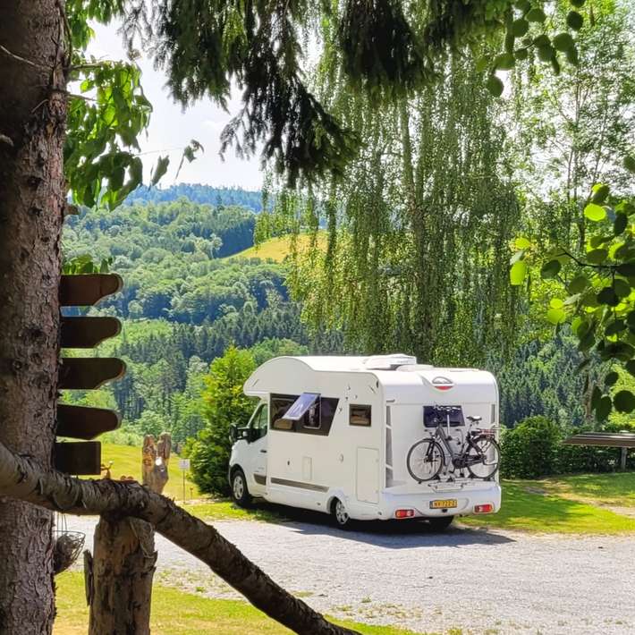 Natur pur Bayerwald