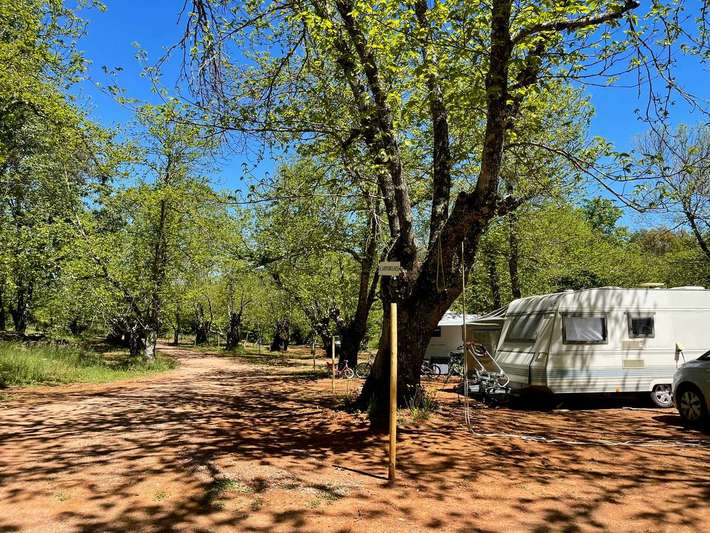 Camping El Madroñal