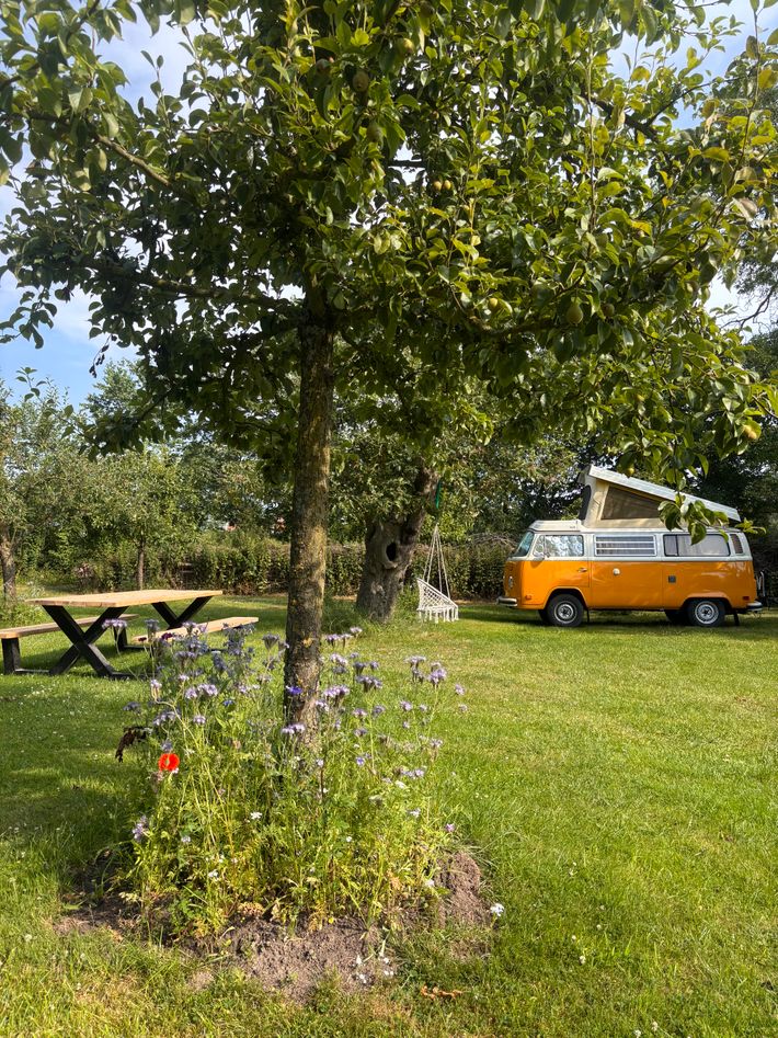 Camping Hiddema State – aan het water, 5 km van Leeuwarden