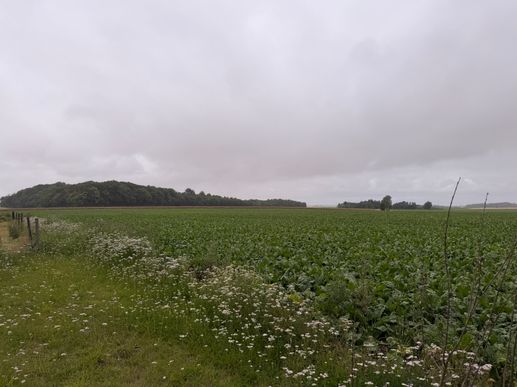 Aggiunta una foto a una posizione
