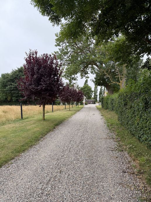Aggiunta una foto a una posizione