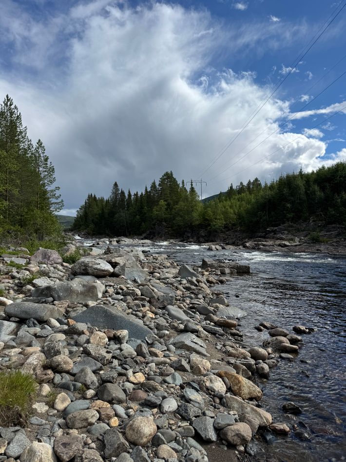 Gresslifoss camping