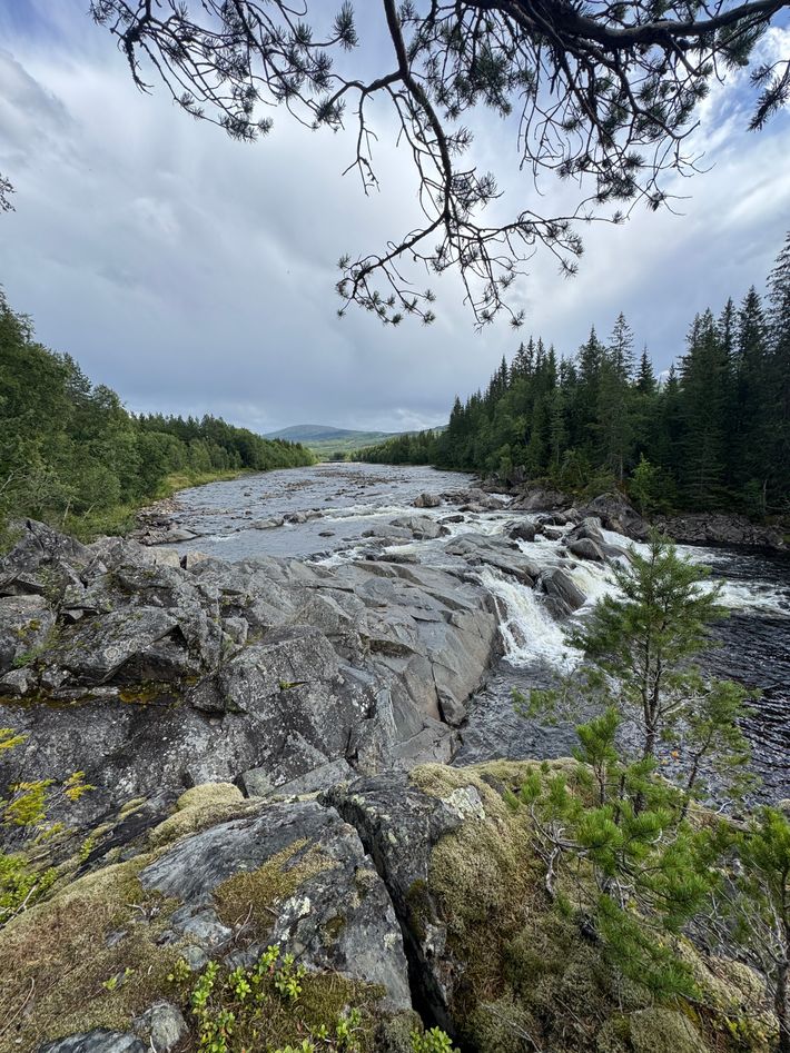 Gresslifoss camping