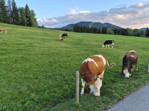 Einem Ort wurde ein Foto hinzugefügt
