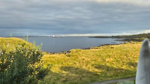 Added a photo to a location