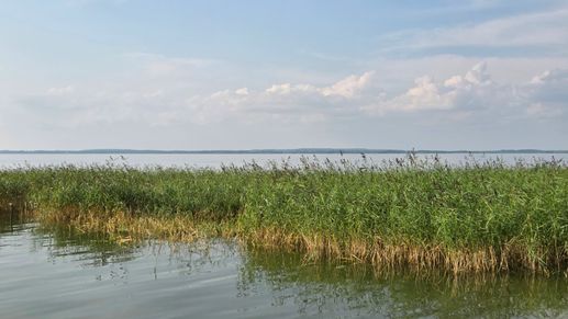 Einem Ort wurde ein Foto hinzugefügt