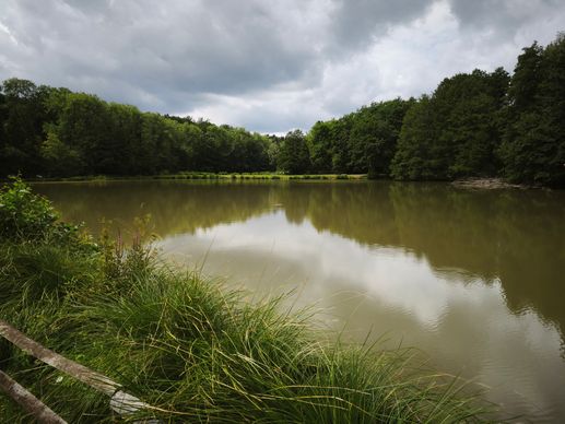 Ajout d'une photo à un emplacement