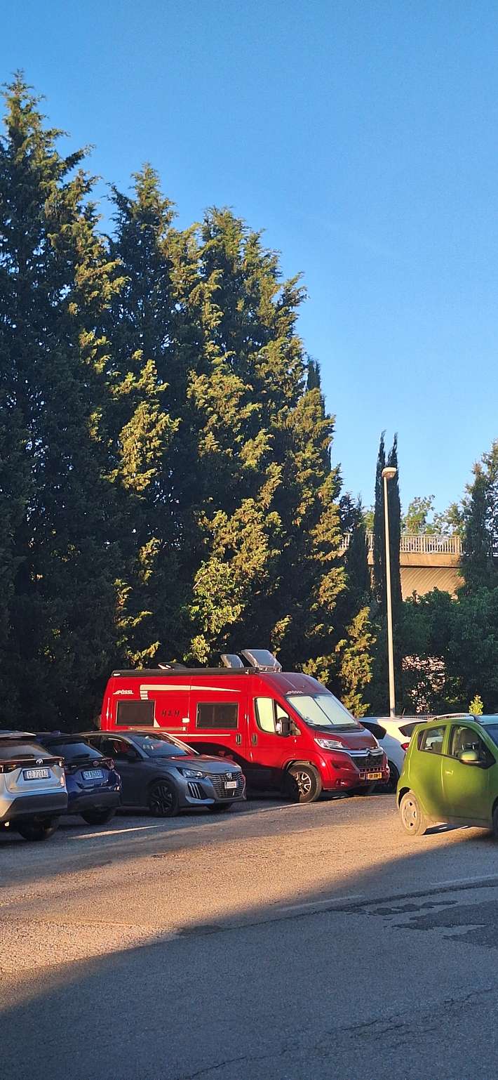 Area Comunale