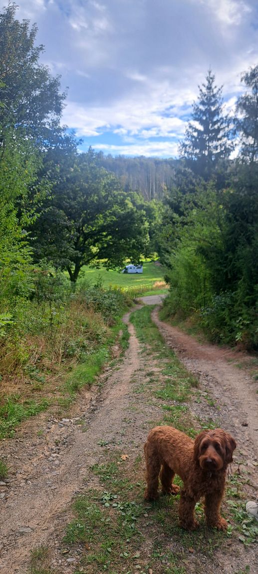 Een foto toegevoegd aan een locatie