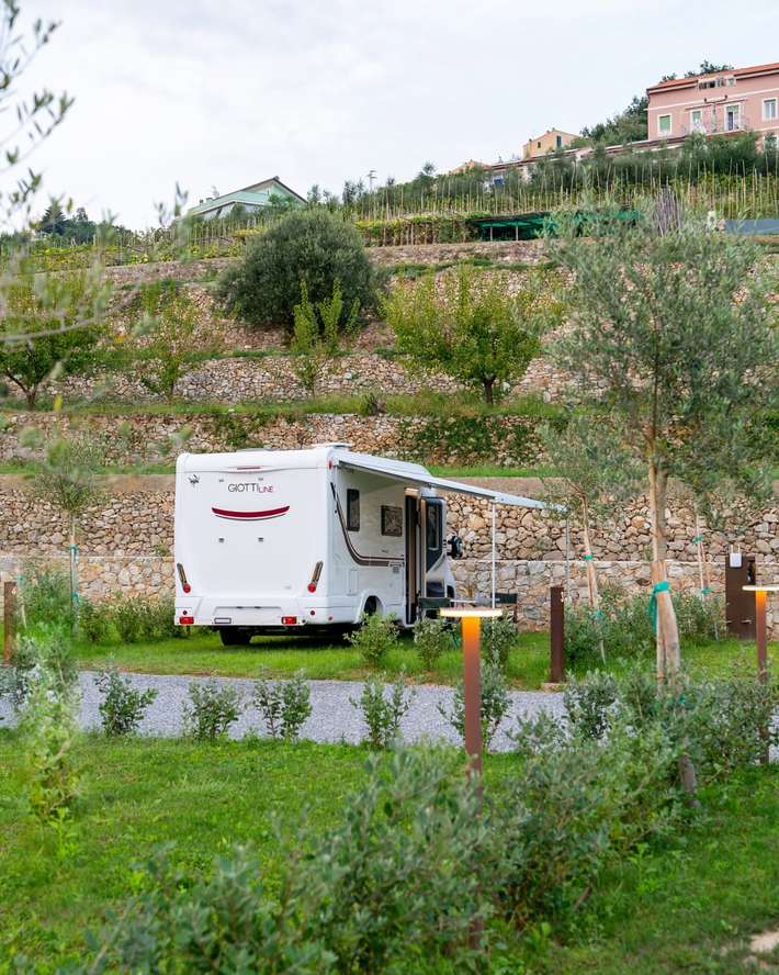 La Pietra e l’Ulivo Agricamping