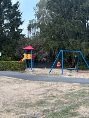 Camping am Steinrodsee