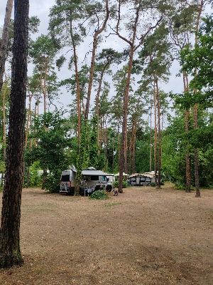 Naturcampingplatz Möhlauer See