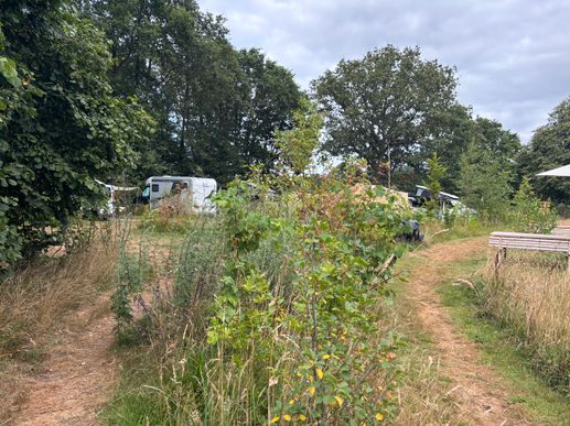 Een foto toegevoegd aan een locatie