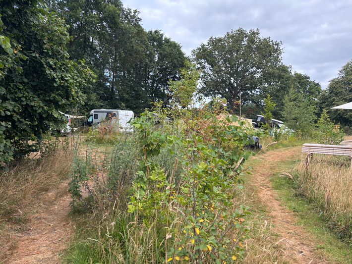 Natuurcamping Hof van Hulsen