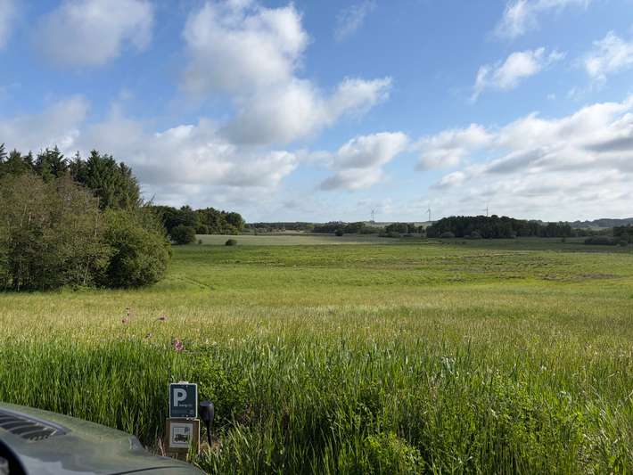 Lillebjørn Camperplads