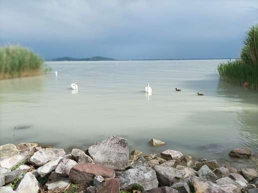 Added a photo to a location