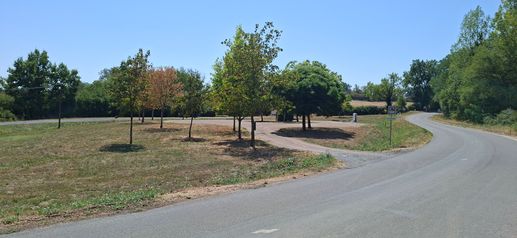 Added a photo to a location