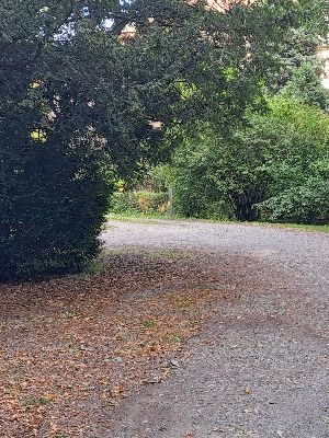 Added a photo to a location