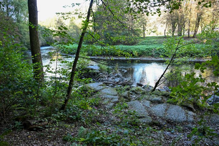 Waldcamping Glüder
