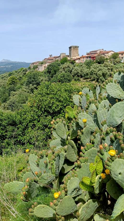 Añadió una foto a una ubicación
