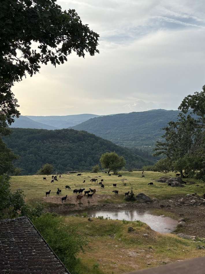 Camping El Burro Blanco